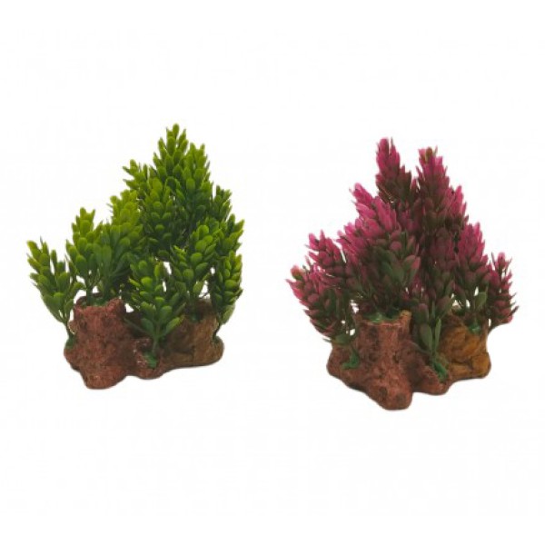 ΔΙΑΚΟΣΜΗΤΙΚΟ ΦΥΤΟ ΕΝΥΔΡΕΙΟΥ 12Χ7.5CM